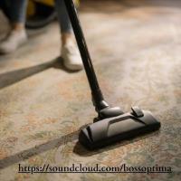 Boss Optima Carpet Cleaning  image 2